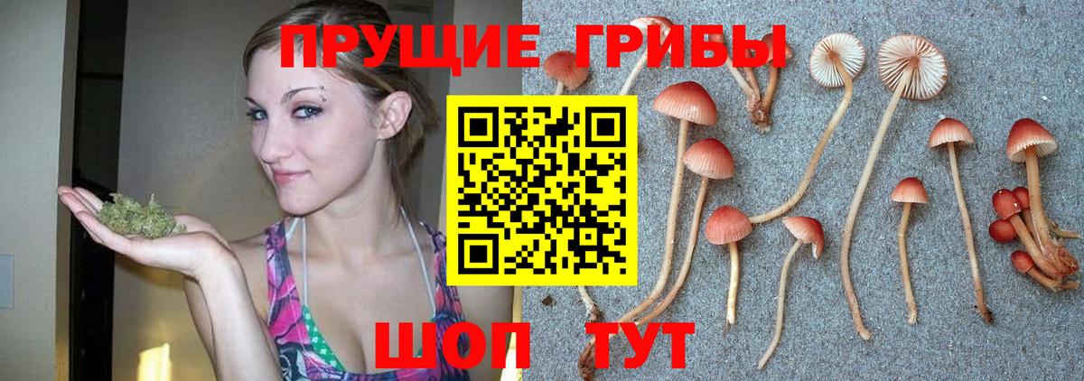 как найти закладки  Галлюциногенные грибы Cubensis  Людиново  Вход с VPN  Псилоцибиновые грибы мухоморы 